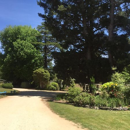 Daylesford Holiday Park Экстерьер фото
