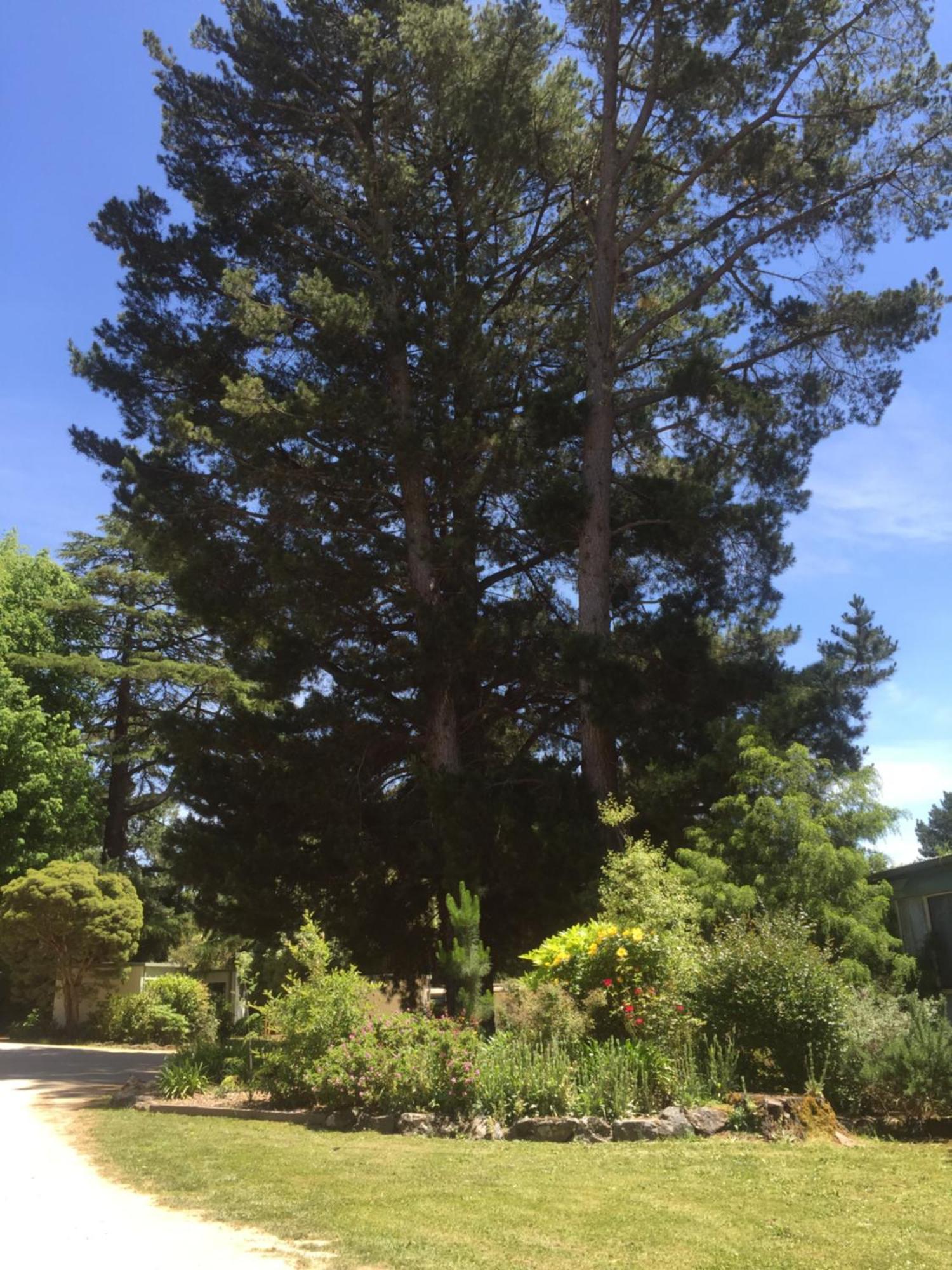 Daylesford Holiday Park Экстерьер фото
